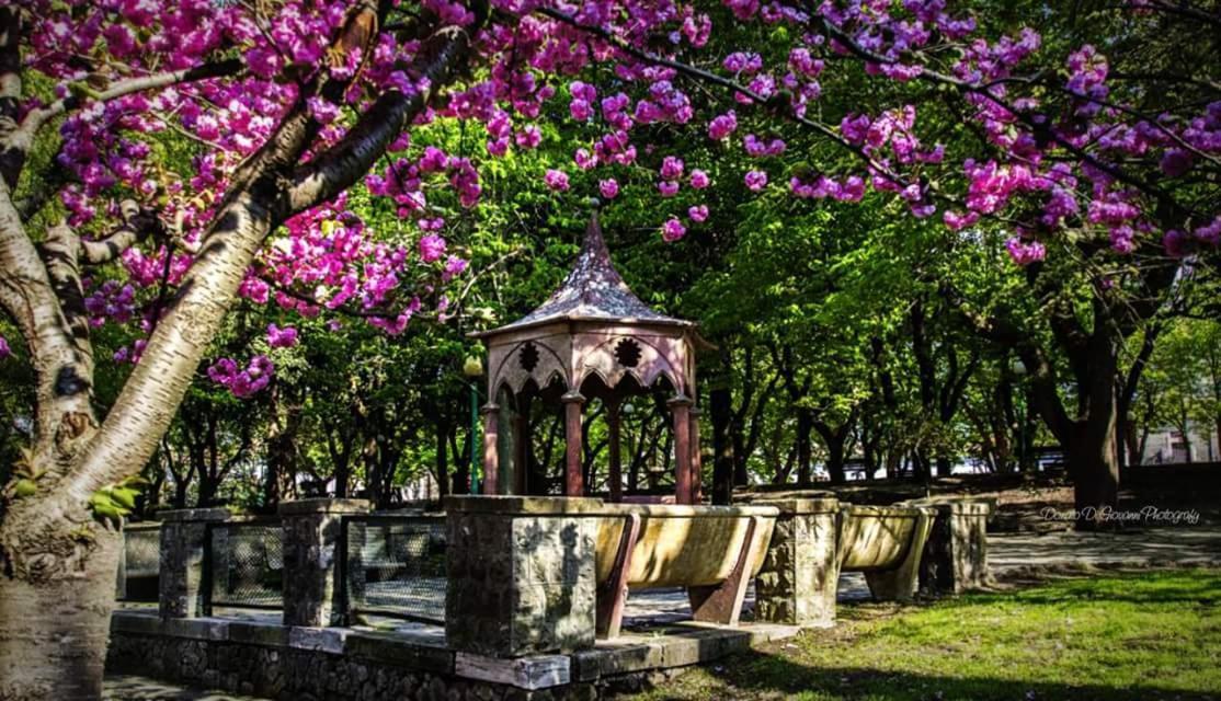 Dormire Nel Borgo Bovino ภายนอก รูปภาพ